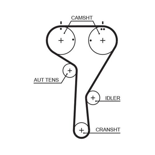Timing belt cambelt - belt,