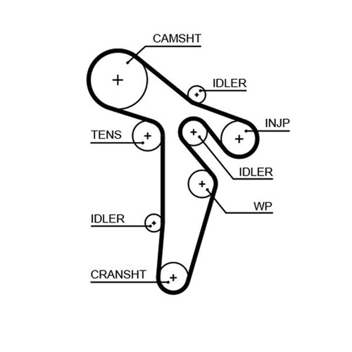 Timing belt cambelt - belt,