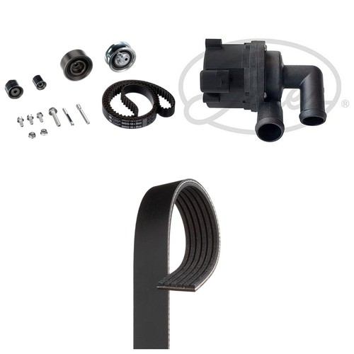 Timing belt kit with - with, water