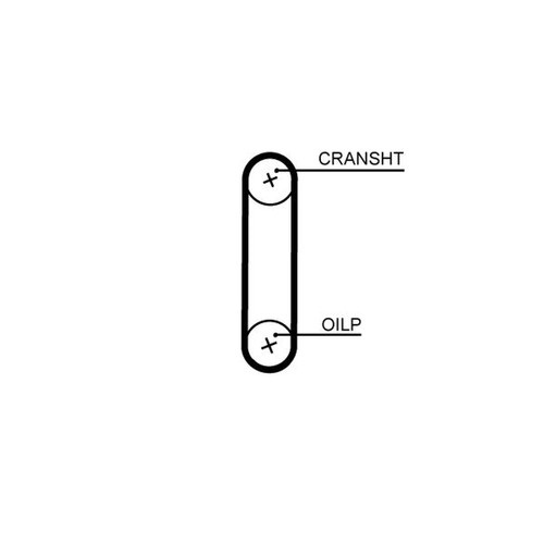Gates timing belt cambelt - belt, 59